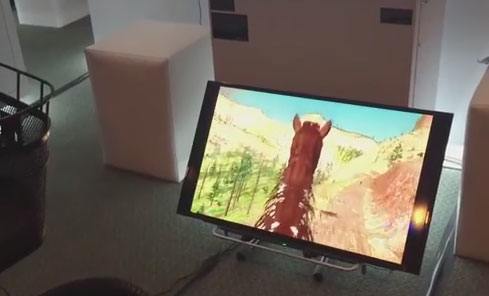 Virtual Reality Horse Simulator for Morpheus