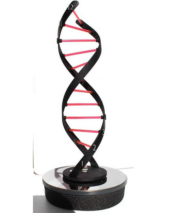 The DNA Clock