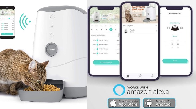 Pet feeder with clearance app