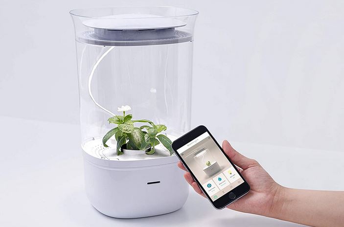 Bluetooth planter best sale