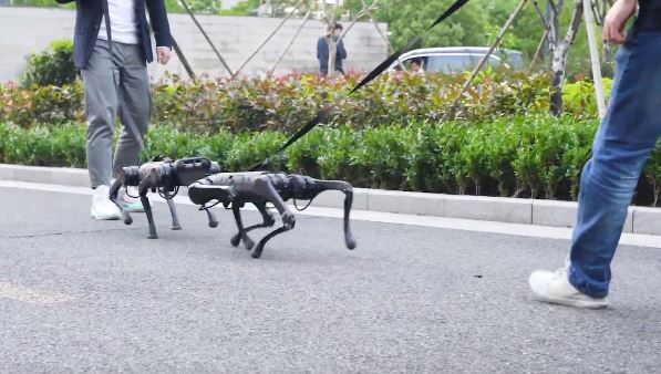 pupbo robot dog