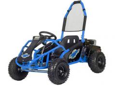 Swincar E-Spider Off-road Vehicle [Video]