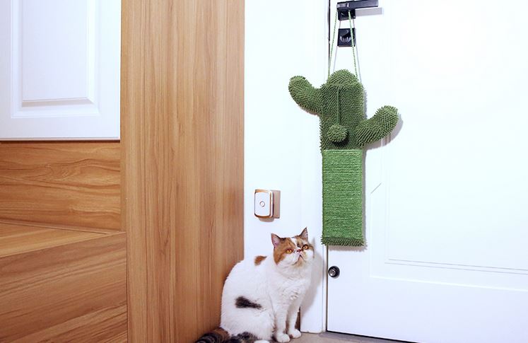 diy cactus cat scratcher