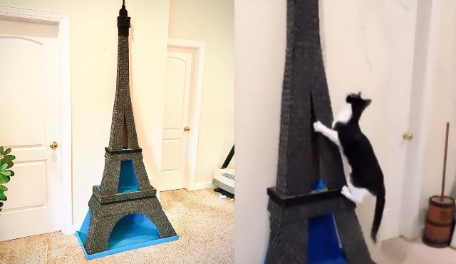 Eiffel tower hot sale cat tree