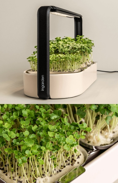 Ingarden Indoor Microgreen Gardening Kit