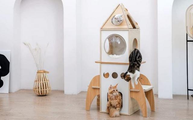 PEQULTI Spaceship Cat Tree