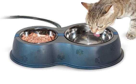 Heated hotsell cat bowls